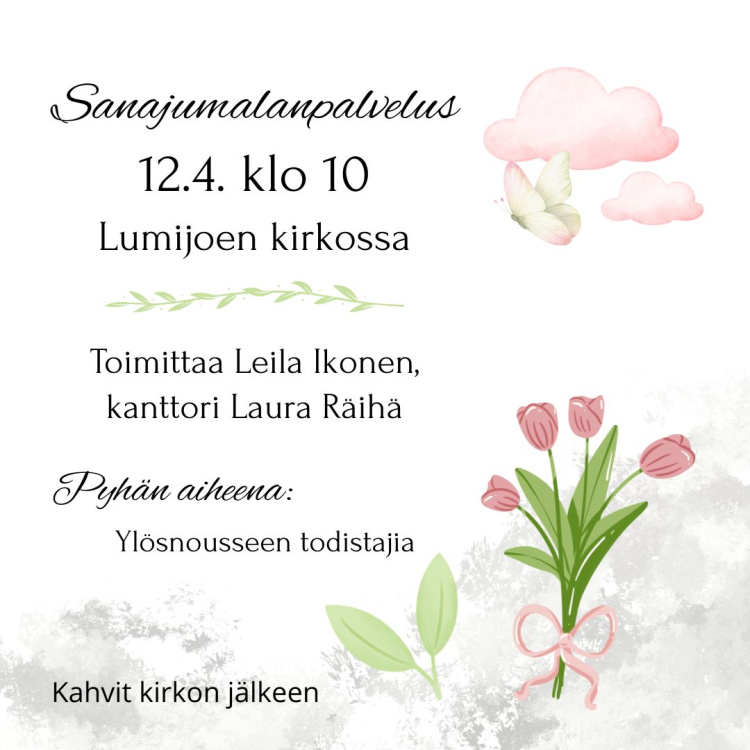Kuvassa kukkakimppu