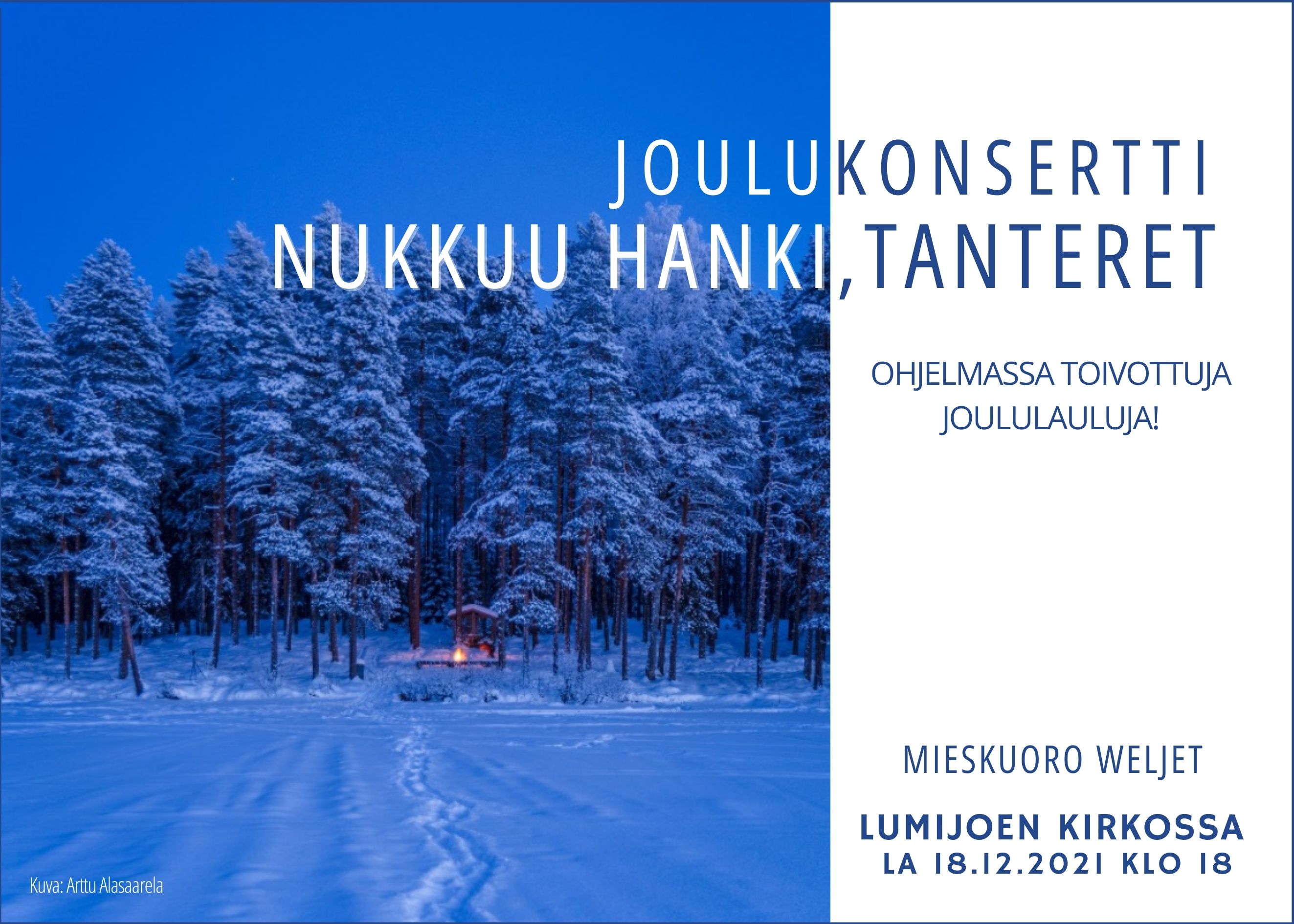”NUKKUU HANKI, TANTERET” JOULUKONSERTTI Konsertin kuvituskuva. Luminen metsämaisema.