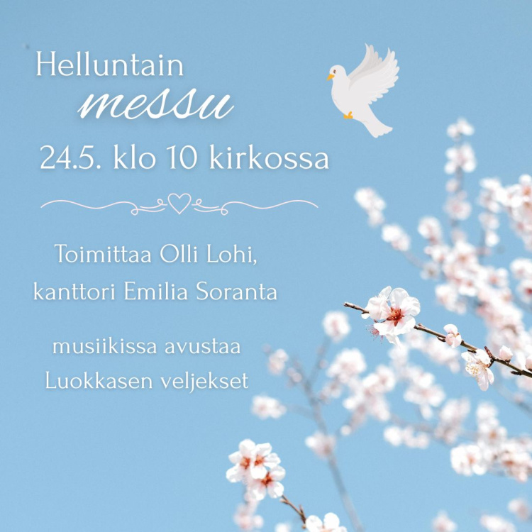 kuvassa sinisellä taustalla kirsikkapuun kukkia ja kyyhkynen