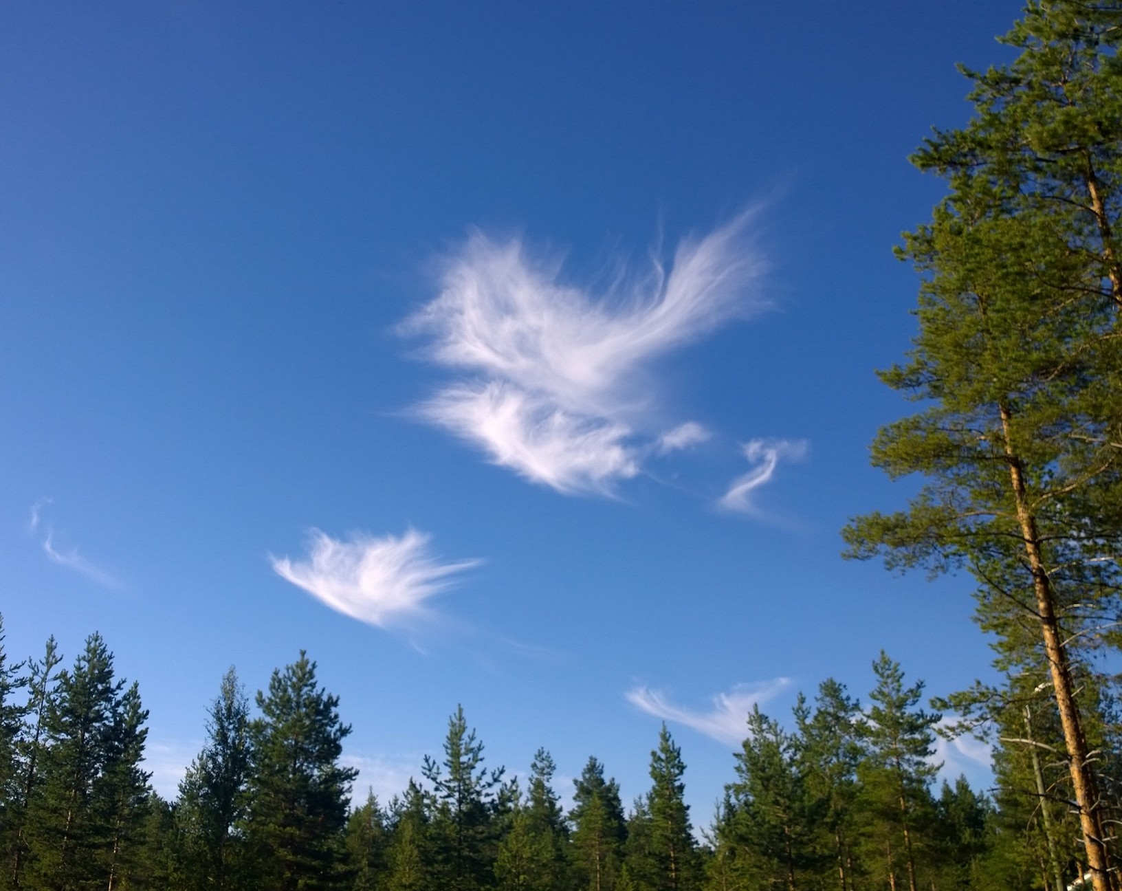 valkoisia pilviä taivaalla